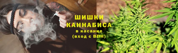 MESCALINE Новозыбков
