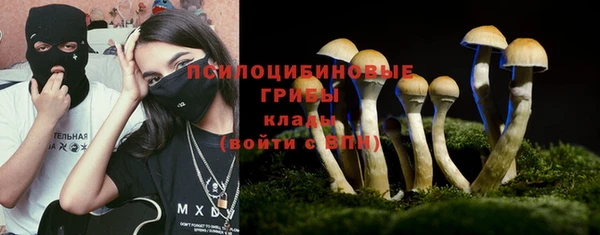 прущие крисы Новокубанск