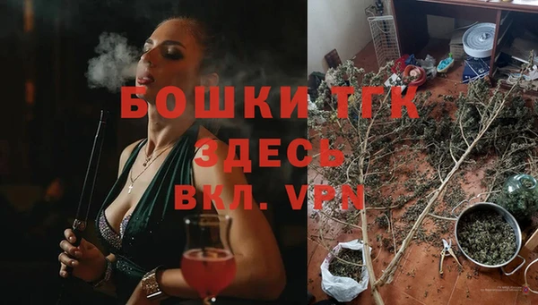 прущие крисы Надым