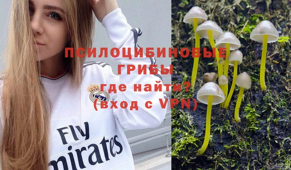 тгк Нефтекумск