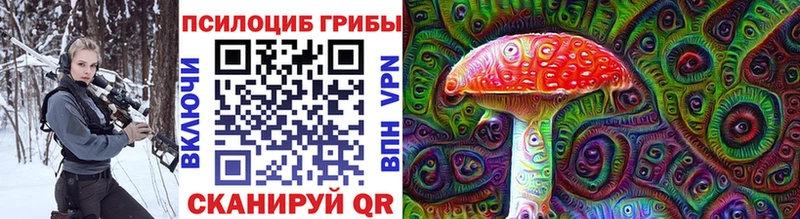 Псилоцибиновые грибы MAGIC MUSHROOMS  Райчихинск 
